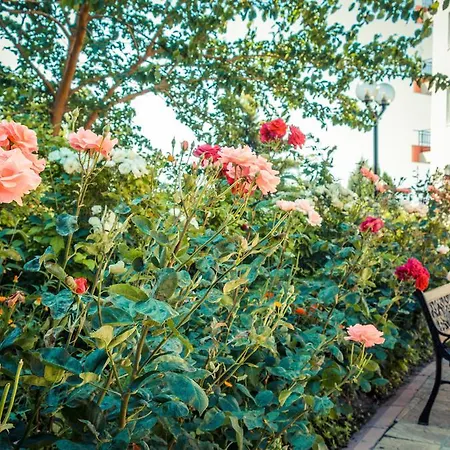 Apartmán Riviera Ravda